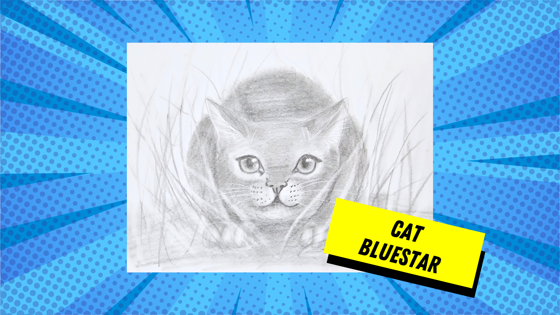 Cat -  Bluestar a Warrior Cat