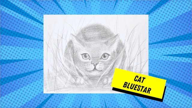 Cat -  Bluestar a Warrior Cat