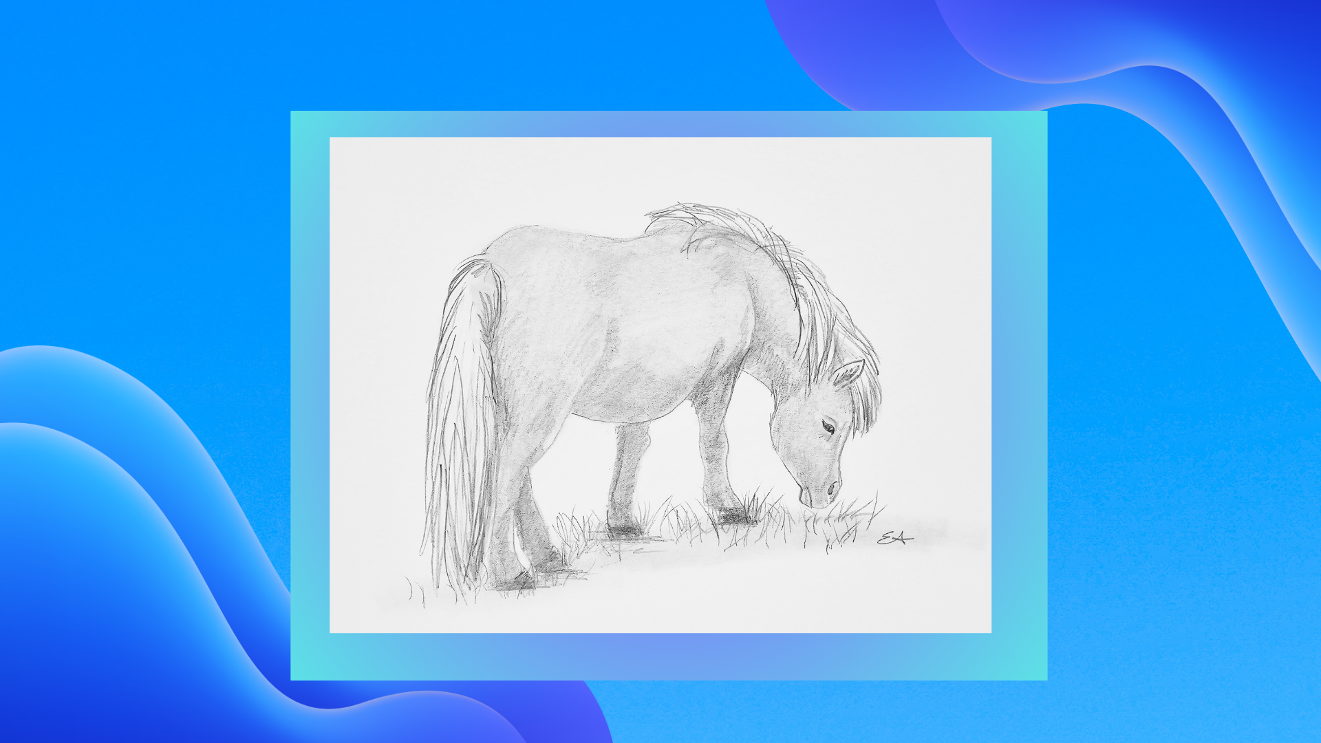 Draw a Horse - Shetland Pony 