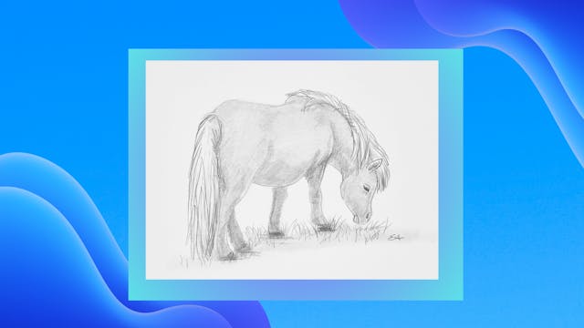 Learn to Draw Full-boby Horse