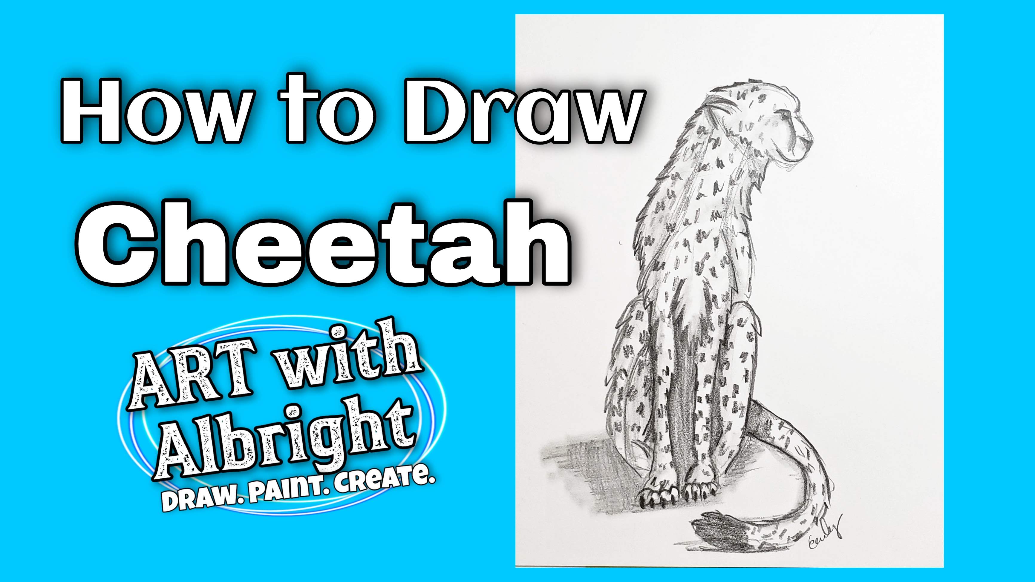 How to Draw a Cheetah