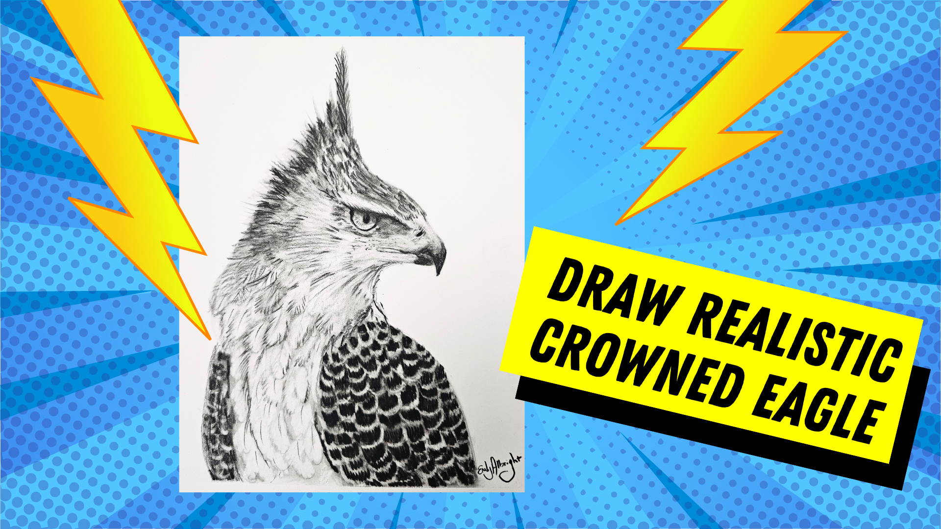 Soaring Spirit: A Step-By-Step Guide to Drawing the Crowned Eagle