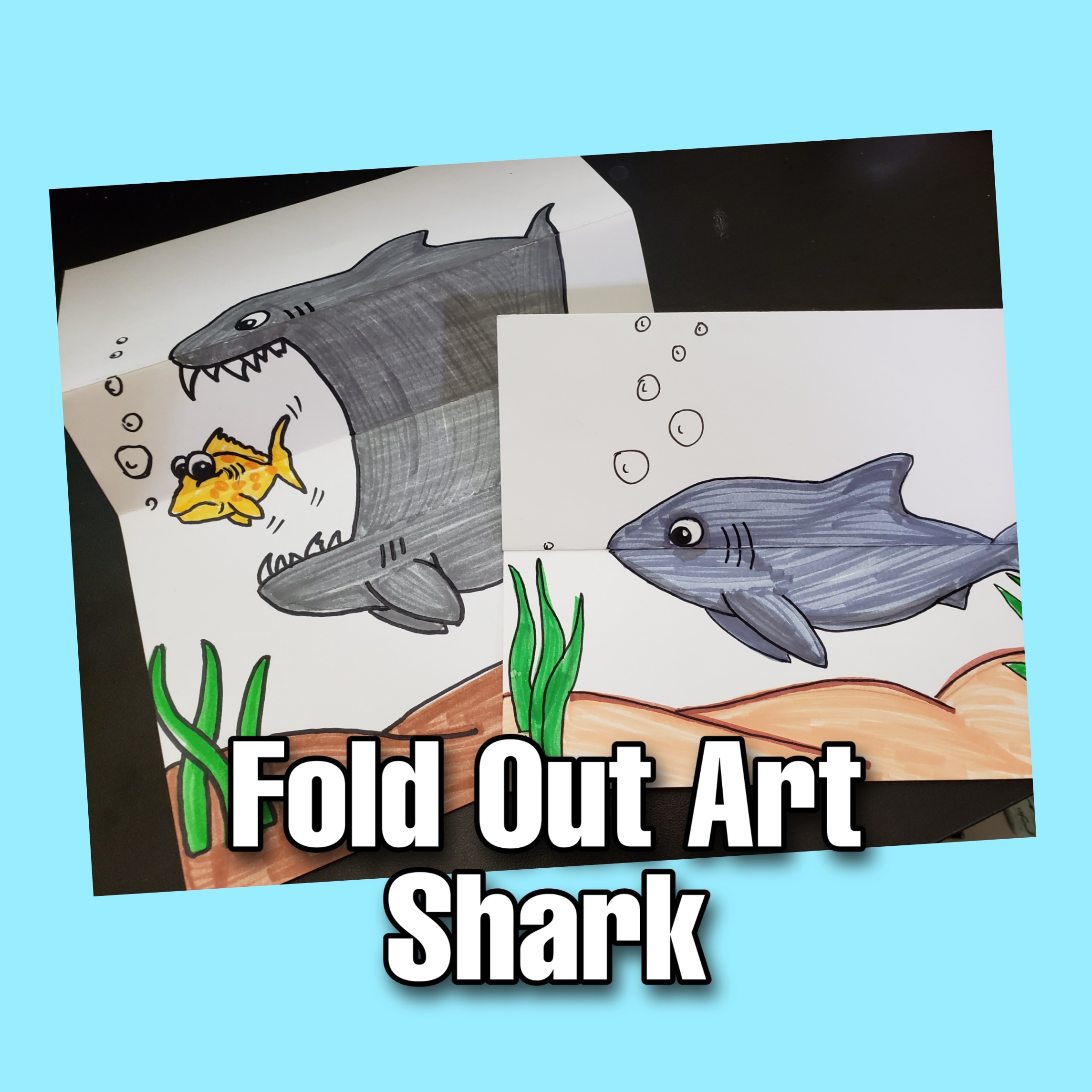 Fold Out Art SHARK