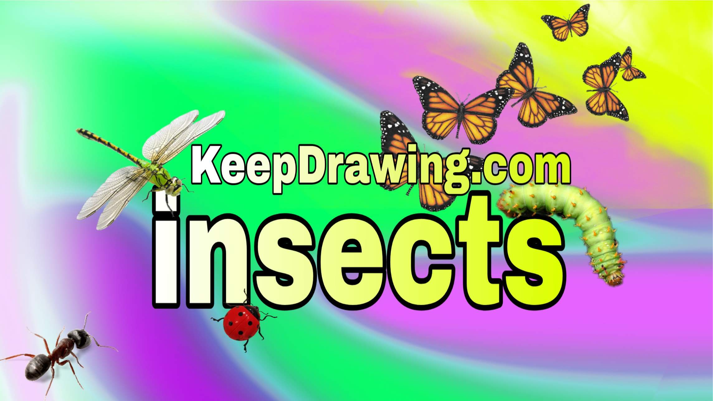 Insects, Bugs & Crawlers