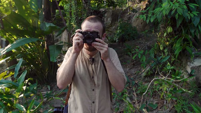 07_ Light spots / open shade / being attentive