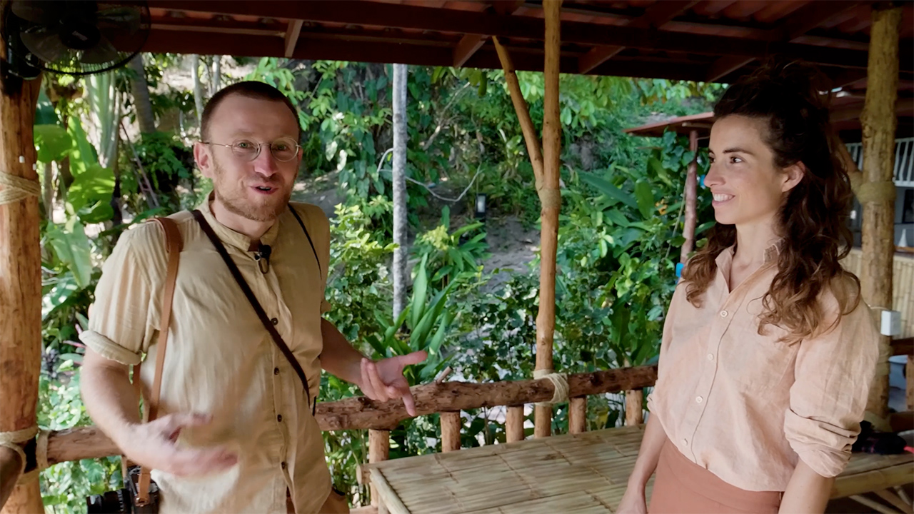 05_Open shade /  diferent contrasts