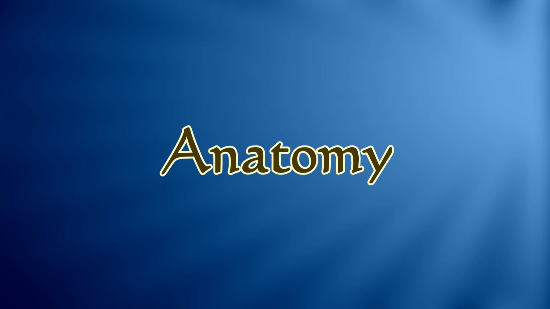 8. Video #8 - Anatomy