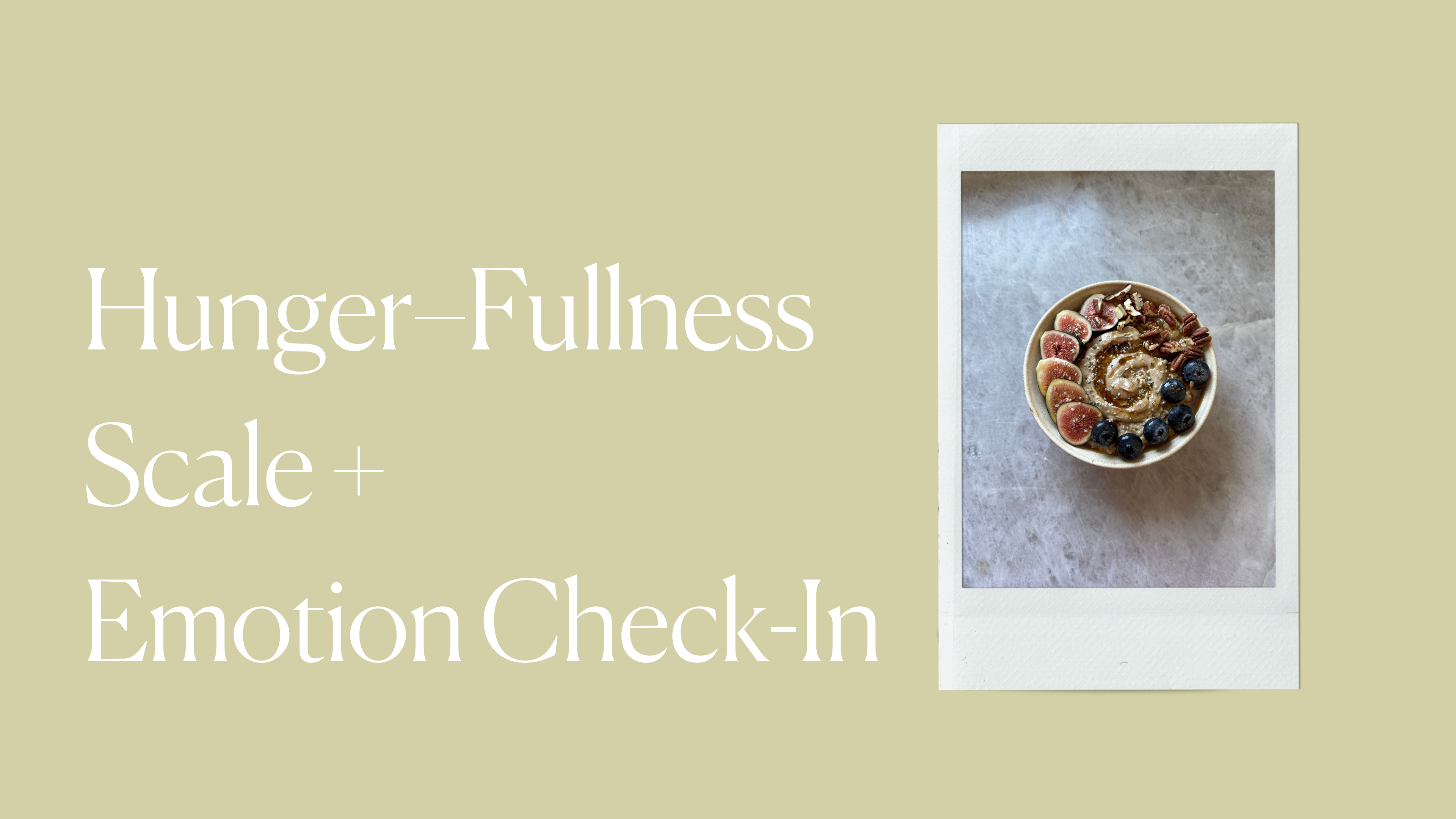 Hunger–Fullness + Emotion Check-In Exercise