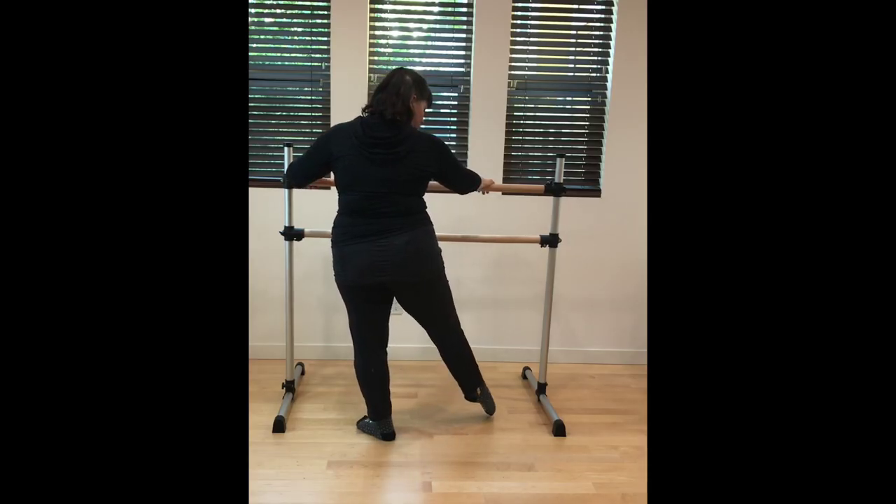 L 1 Ballet Barre Tendu 1 no music