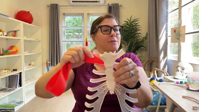 The Ribs, The Intercostals and Breathing