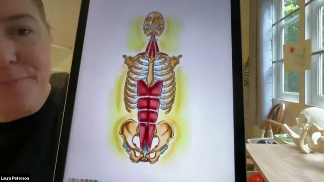 The Glutes Review/Rectus Abdominis an...