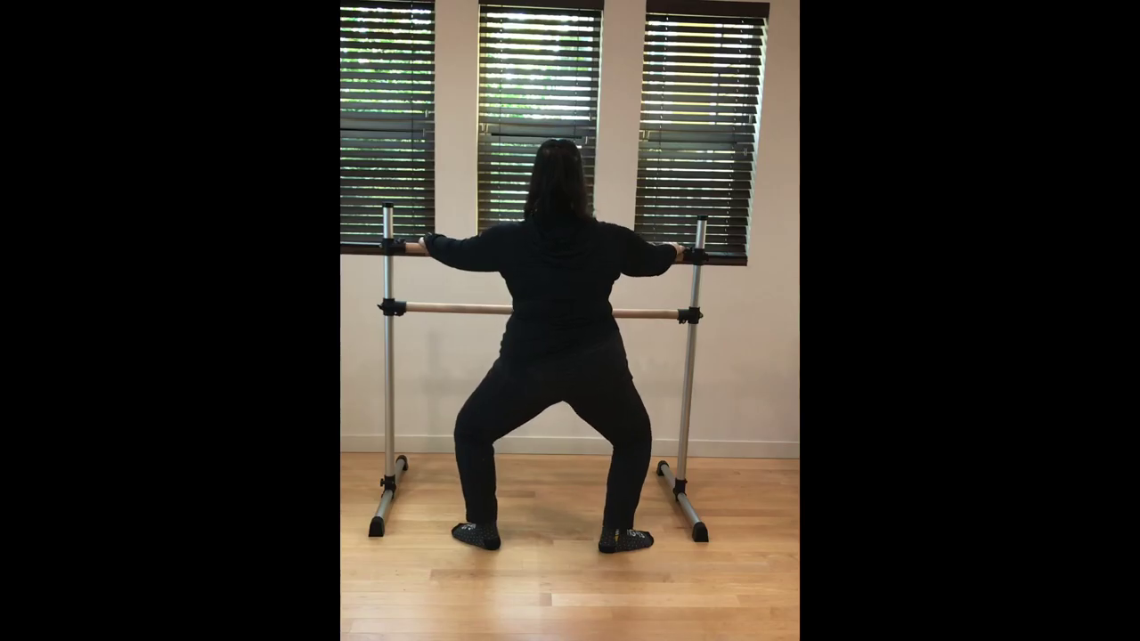 L 1 Ballet Barre Plié combo no music