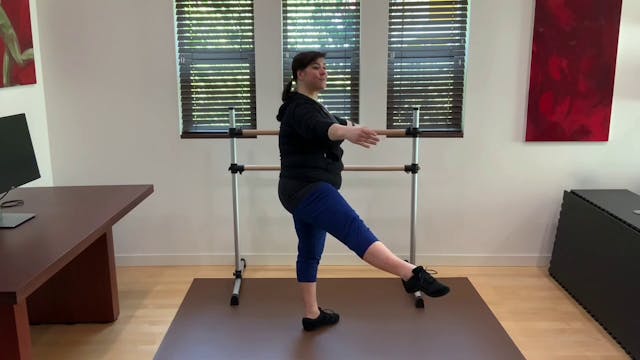 L1.1 Ballet Barre Fondu and  Rond de ...