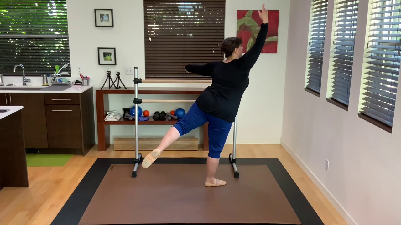 L 1.5 Ballet Barre Rond de Jambe 4