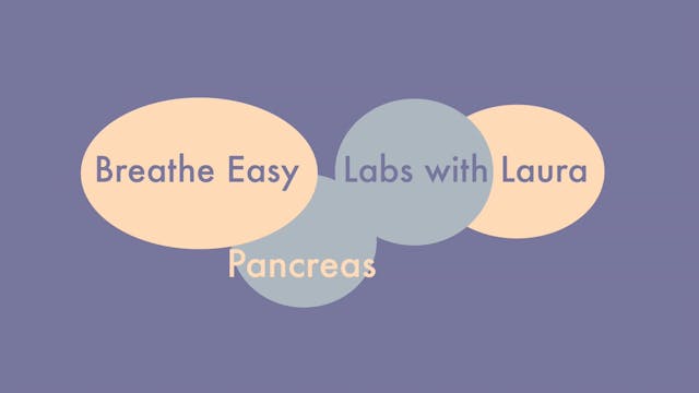 Breathe Easy Labs with Laura-Pancreas