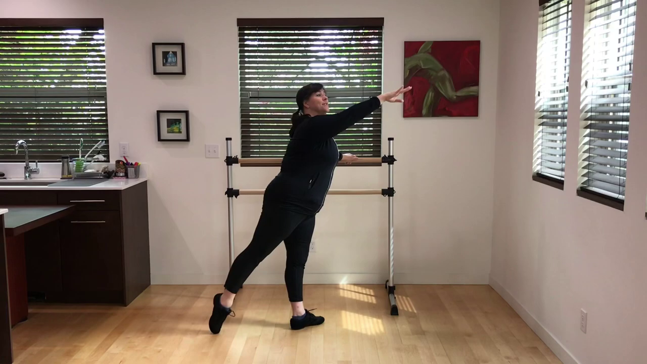 L 1 Ballet Barre Tendu 3