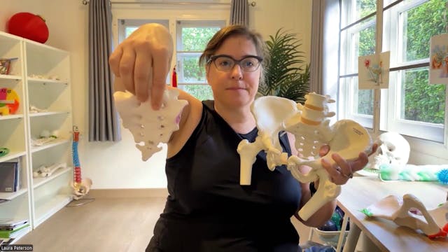 Happy Pelvis 1