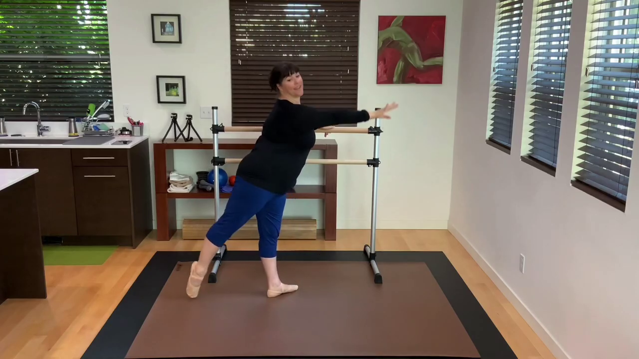 L 1.5 Ballet Barre Tendu 4