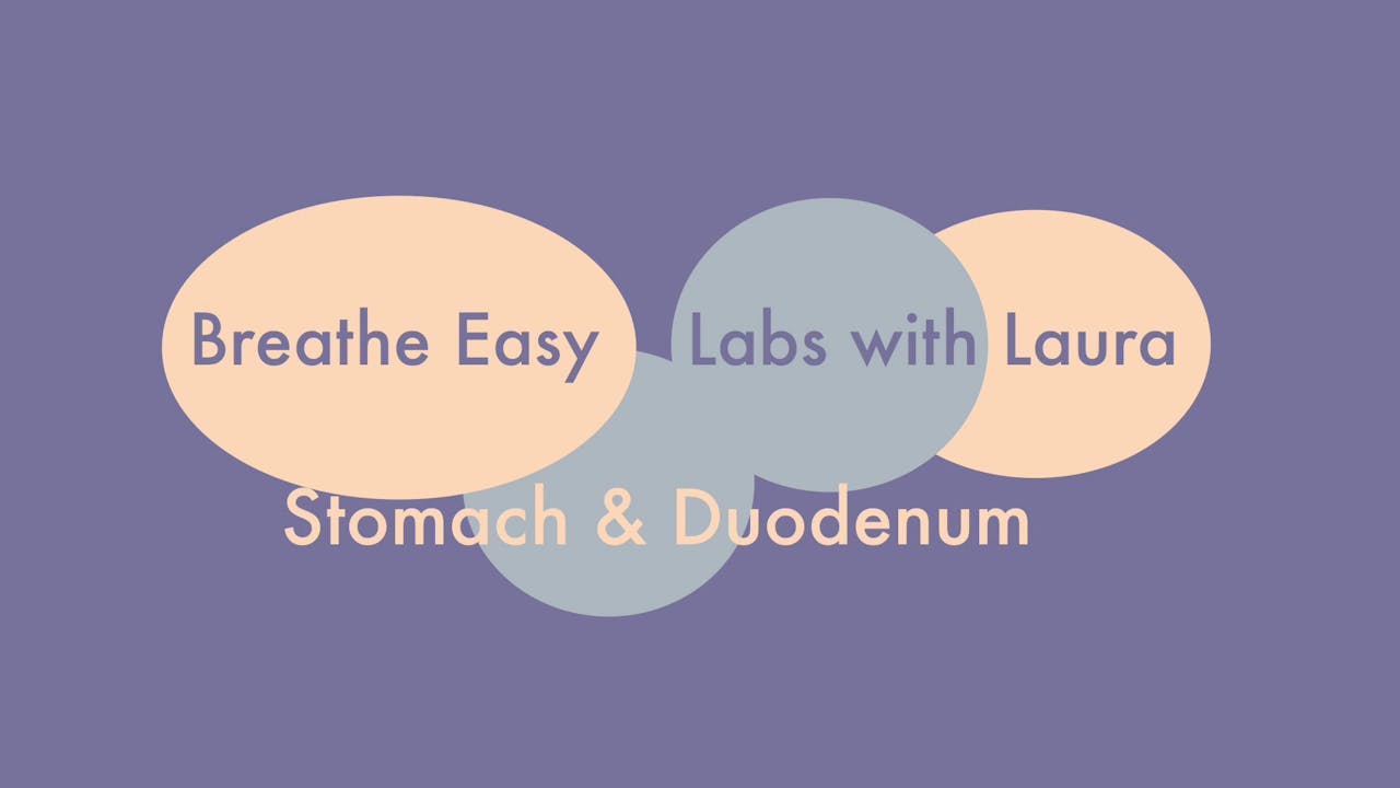 Breathe Easy Labs with Laura-Stomach & Duodenum