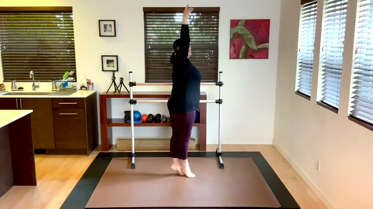 L 1.5 Ballet Barre Degagé 3