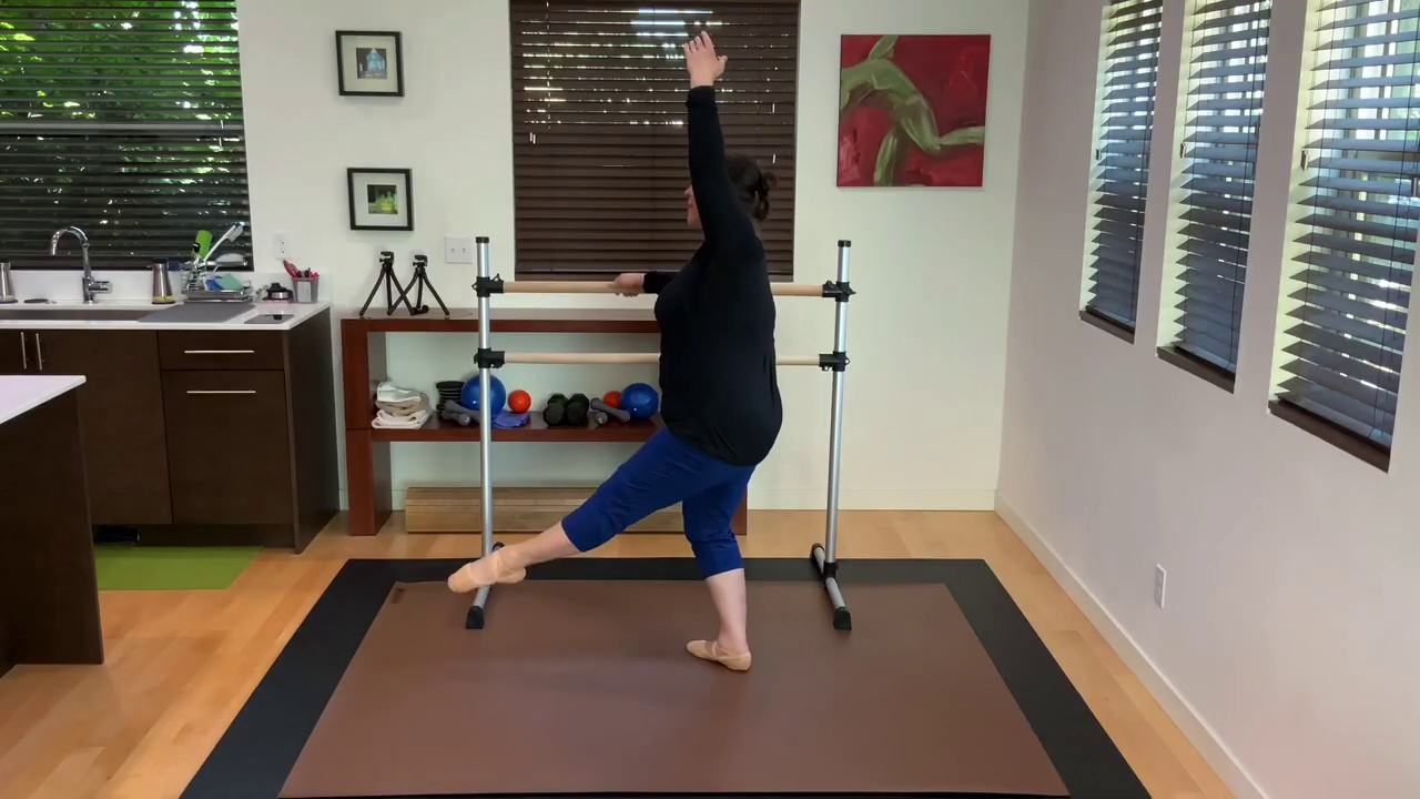 L1.5 Ballet Barre Degagé 4