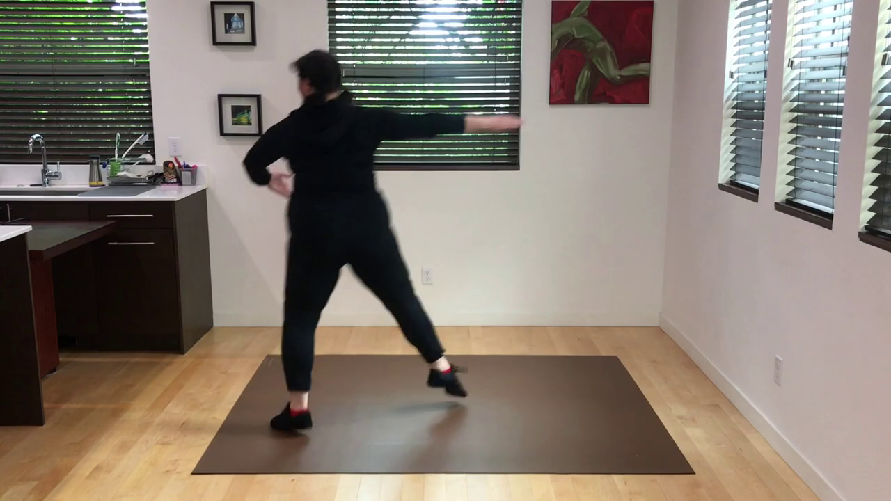 L1 Ballet Petit Allegro-Glissade, Pas de Chat  Sissonne