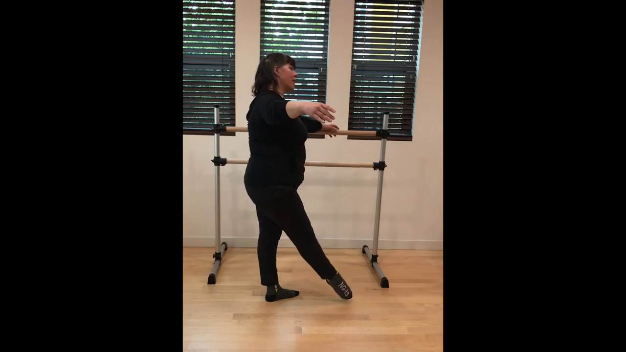 L 1 Ballet Barre 1 Center Combo 1 and Basic Positions