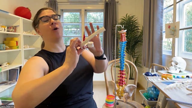 Intro to Ribs & Ribs in Flexion and E...