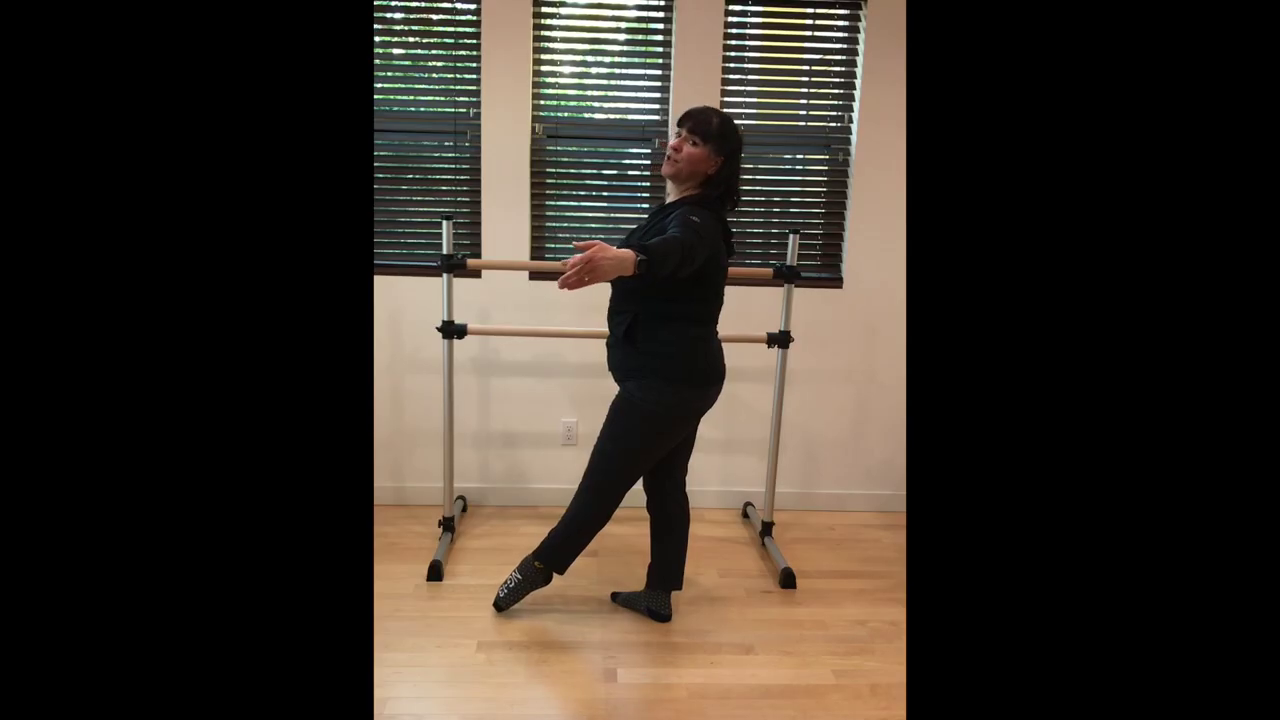 L1 Ballet Barre Rond de Jambe 1 with music