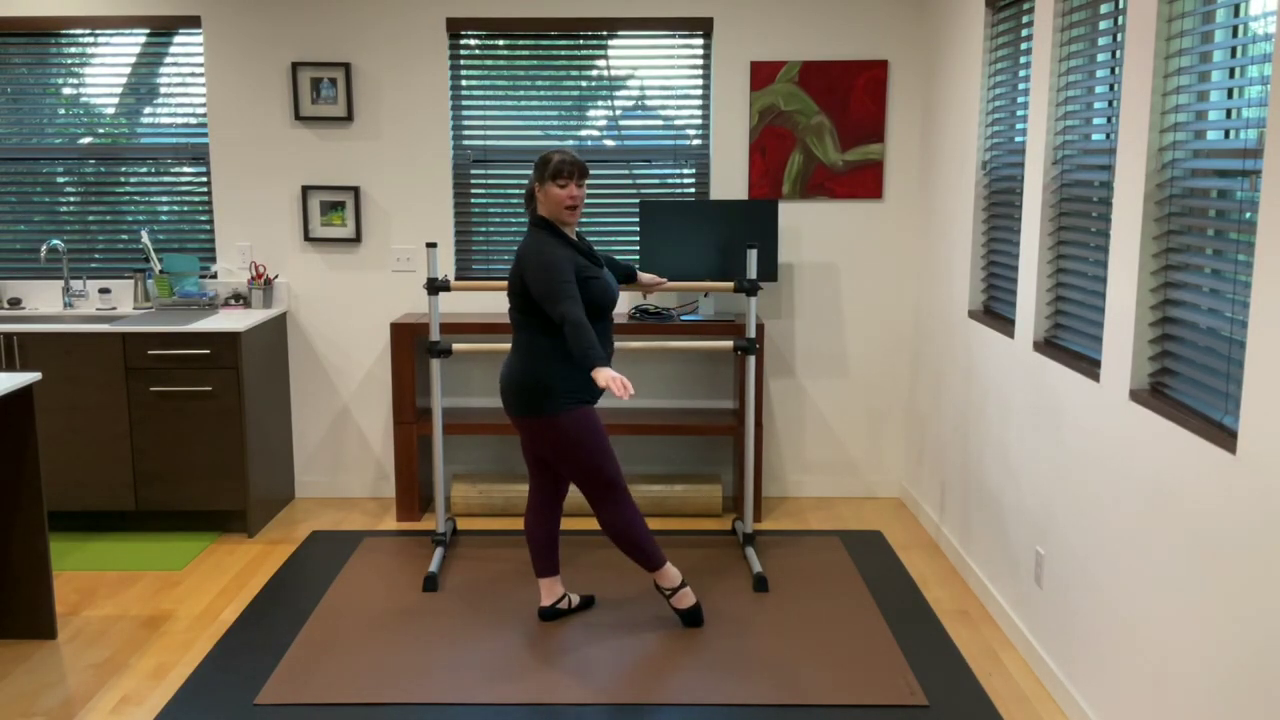 L 1.1 Ballet Barre Tendu 3