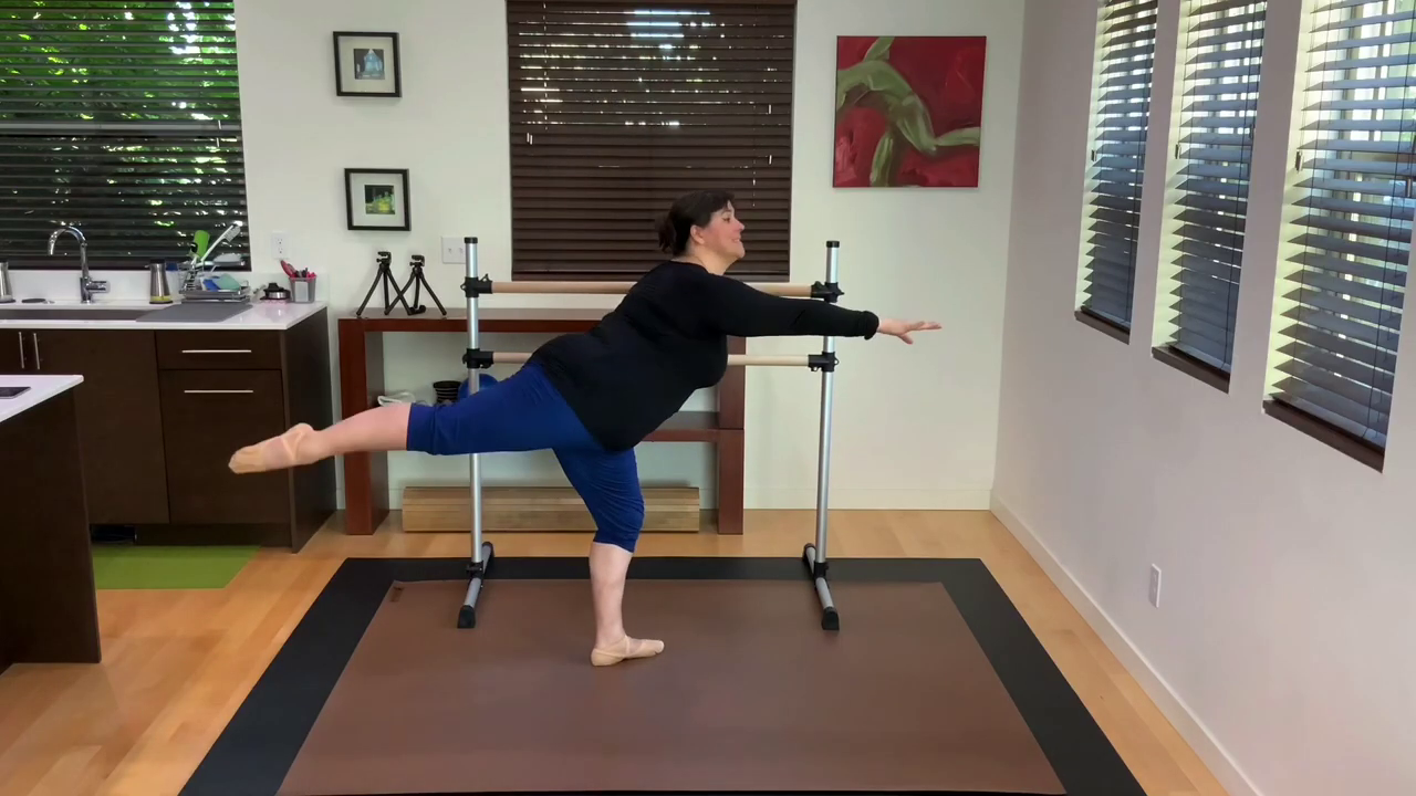 L 1.5 Ballet Barre Grand Battement 4