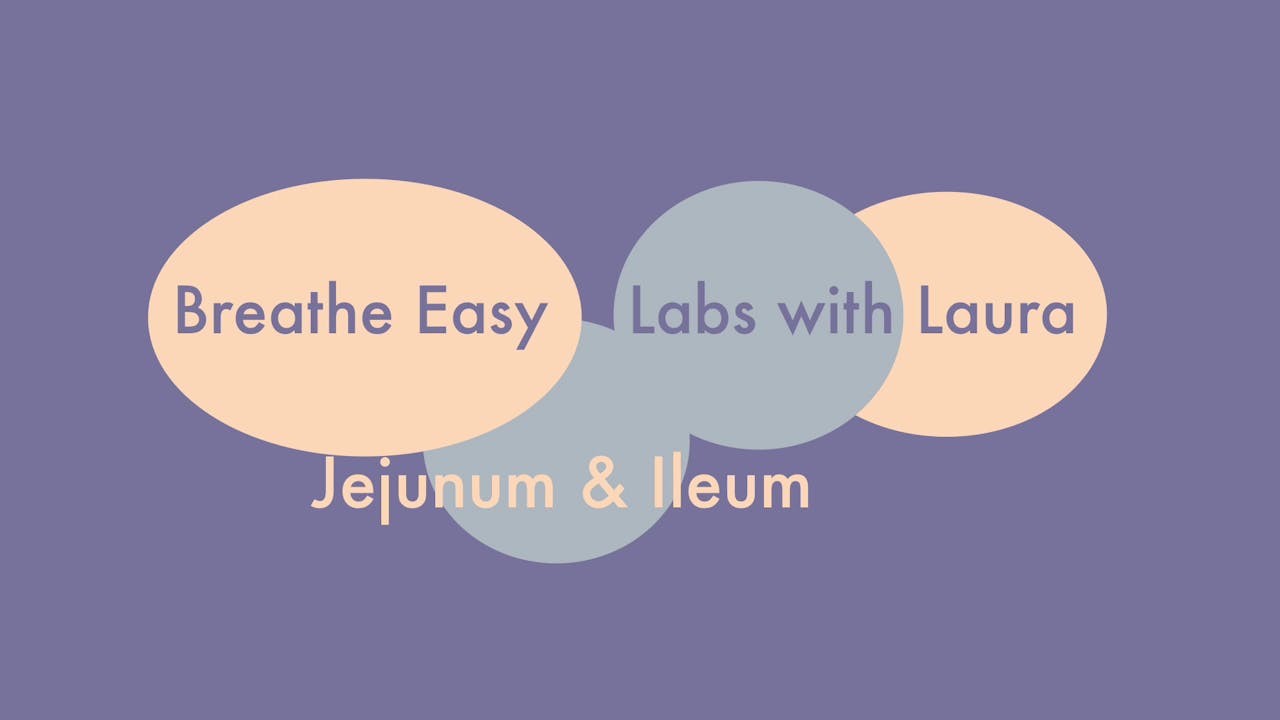 Breathe Easy Labs with Laua-Jejunum & Ileum