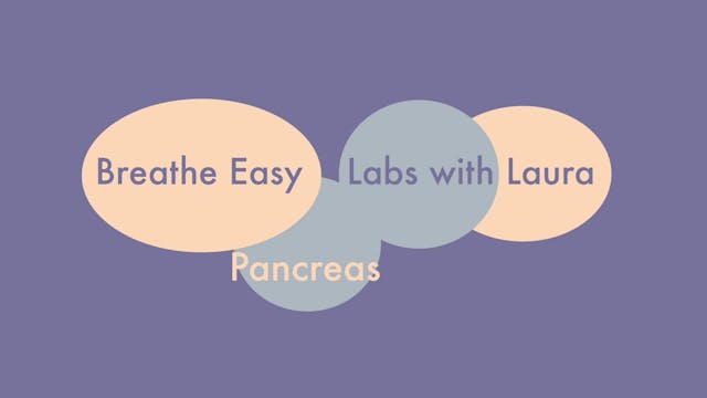 Breathe Easy Labs with Laura-Pancreas