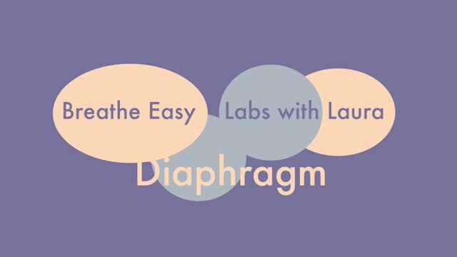 Breathe Easy Labs with Laura-Diaphragm 