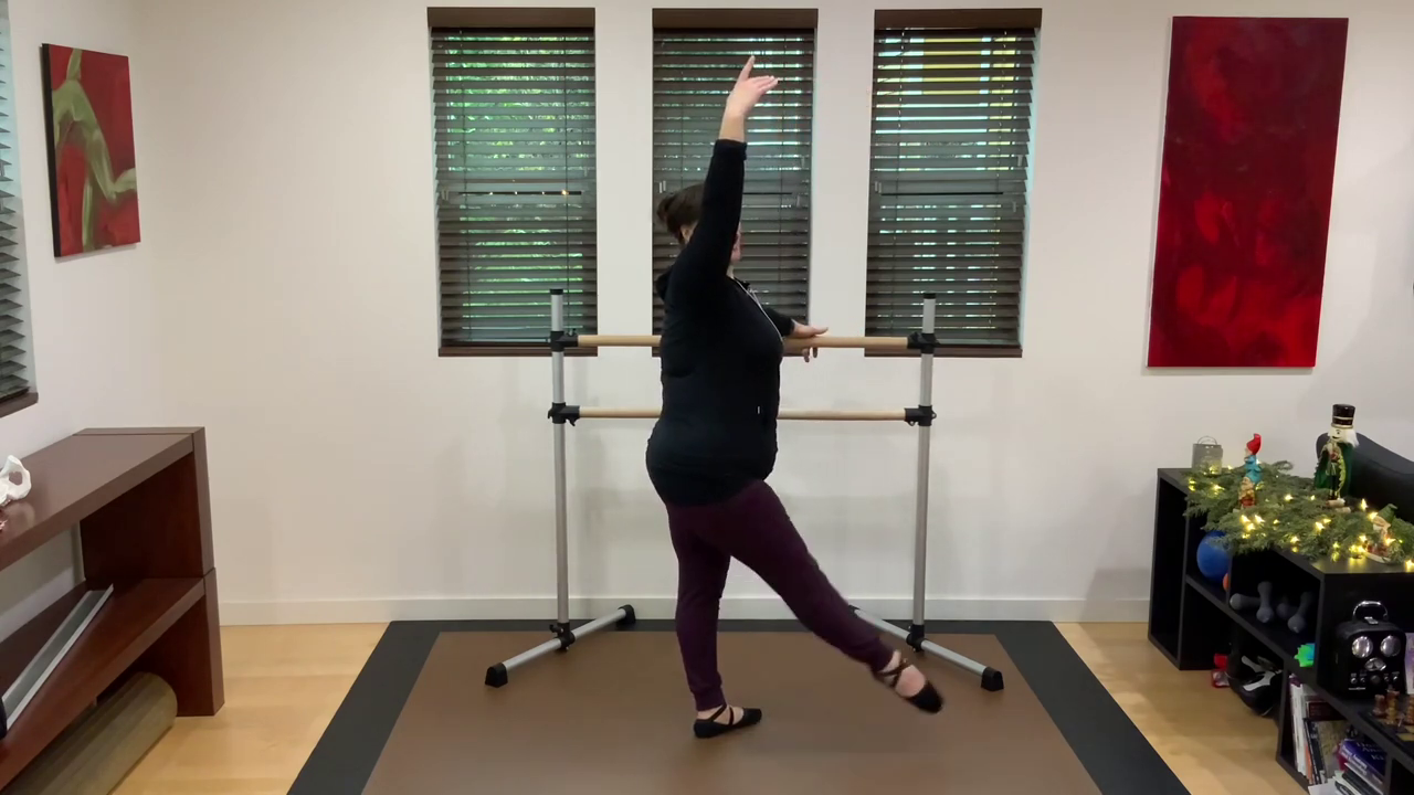 L 1.1 Ballet Barre Degagé 1
