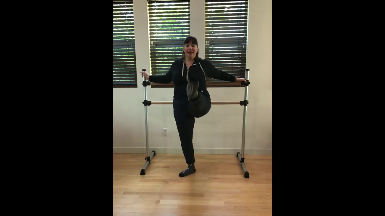 L1 Ballet Barre Grande Battement 1 no music