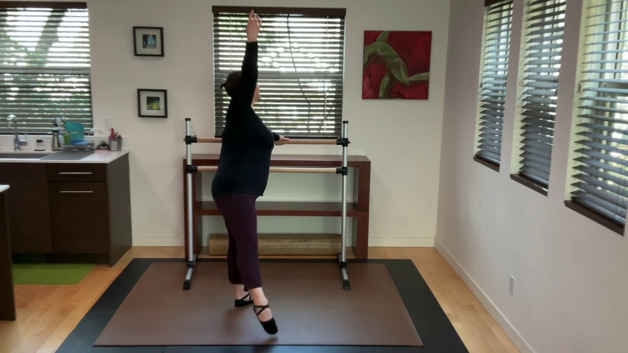 L 1.1 Ballet Barre Degagé 4