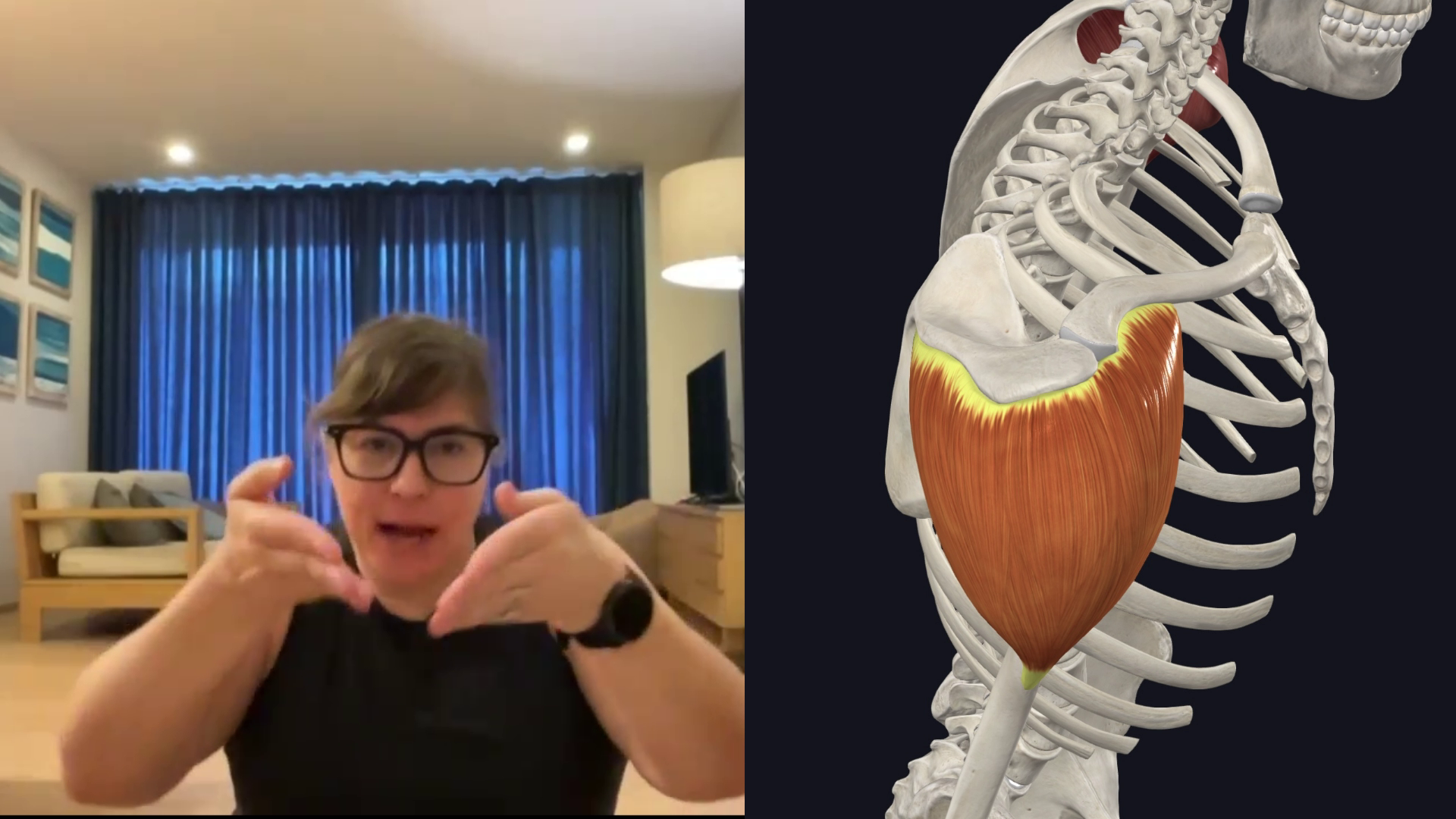 The Deltoids: Actions and Tension Release