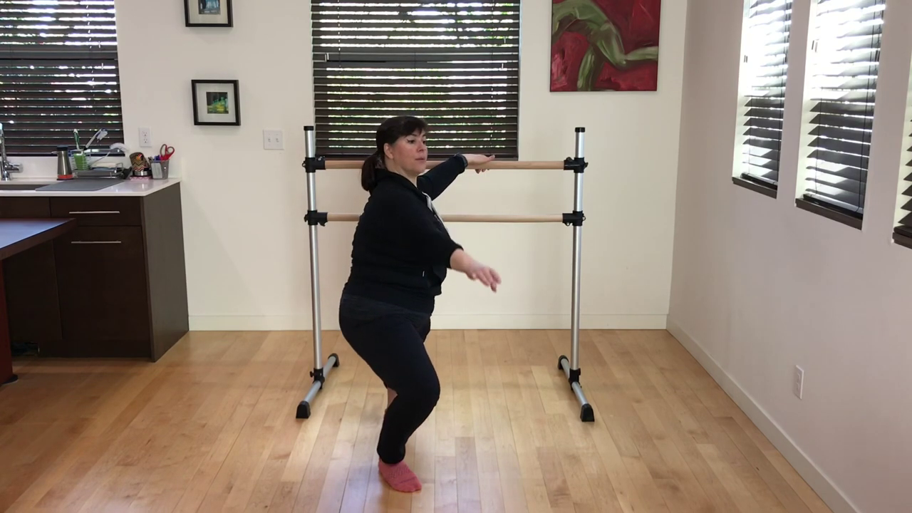 L1 Ballet Barre Plié  2