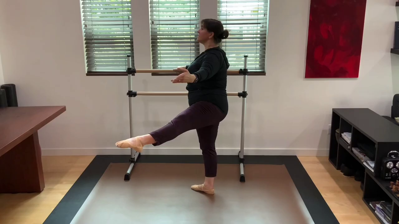 L 1.5 Ballet Barre Rond de Jambe 1