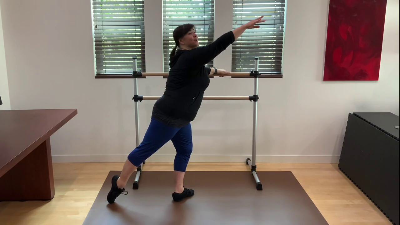 L 1 Ballet Barre Tendu 4