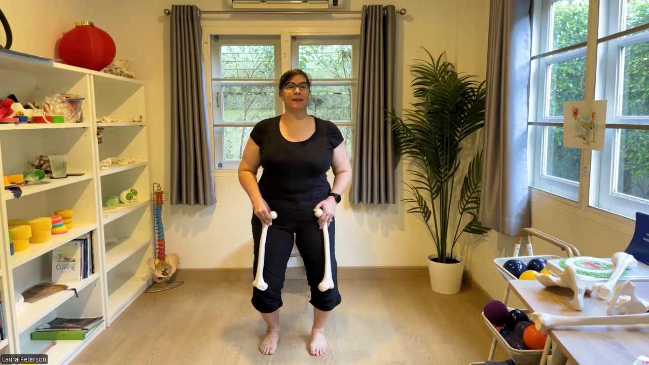 Franklin Method®️ Inspired Ballet Barre 2