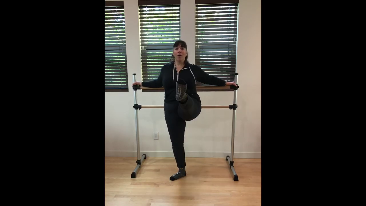 L1 Ballet Barre Grande Battement 1 with music