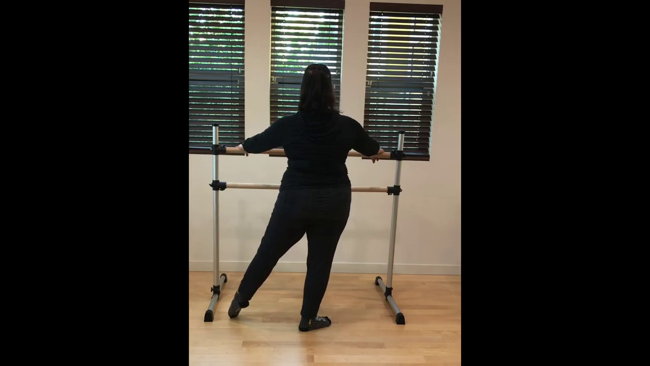 L 1 Ballet Barre Tendu Combo 1 with music