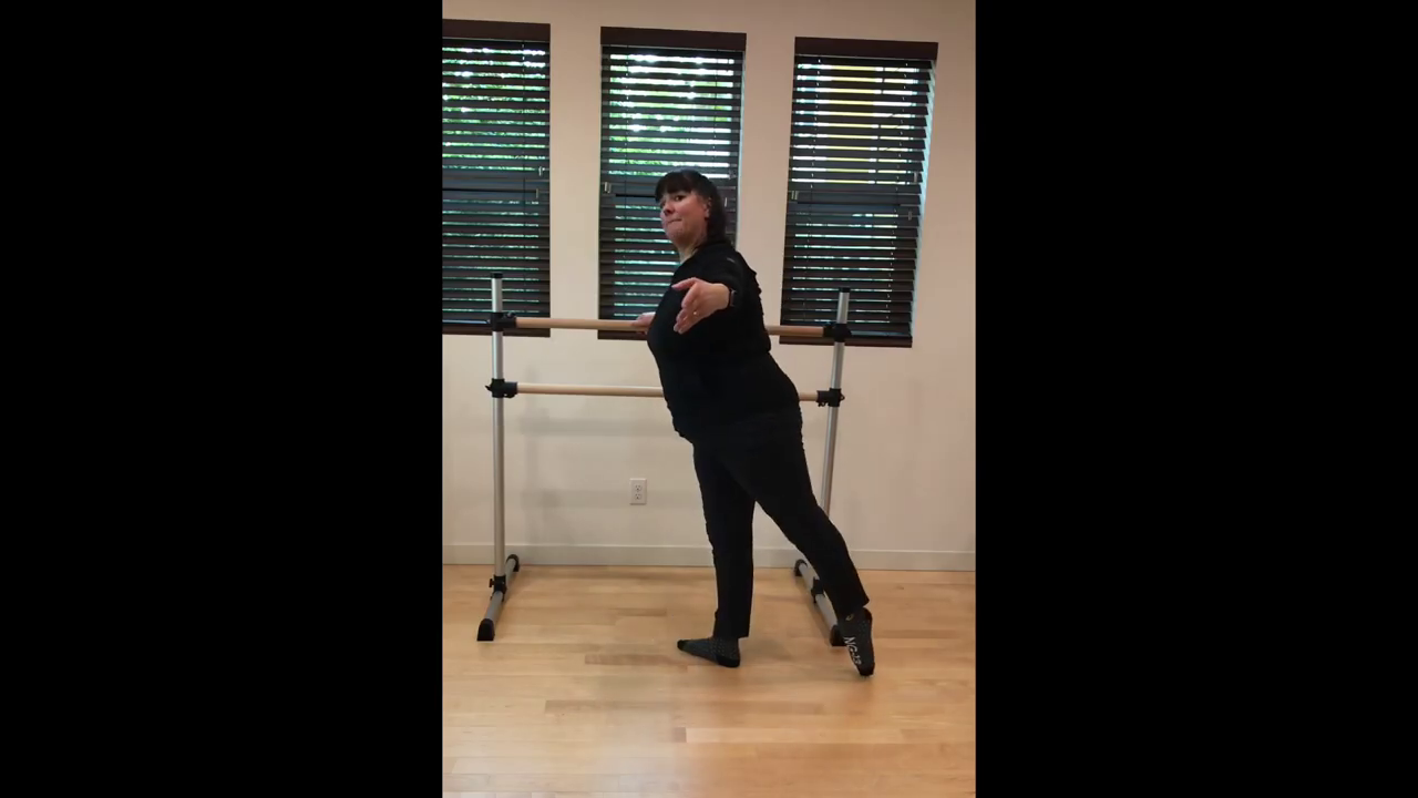 L Ballet Barre Rond de Jambe 1 no music