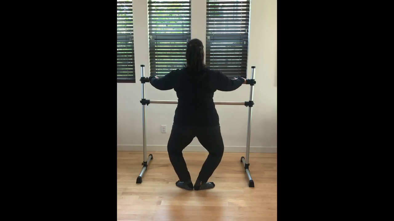 L 1 Ballet Barre Plié  with Music