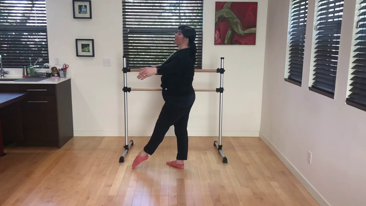 L 1 Ballet Barre Rond de Jambe 2