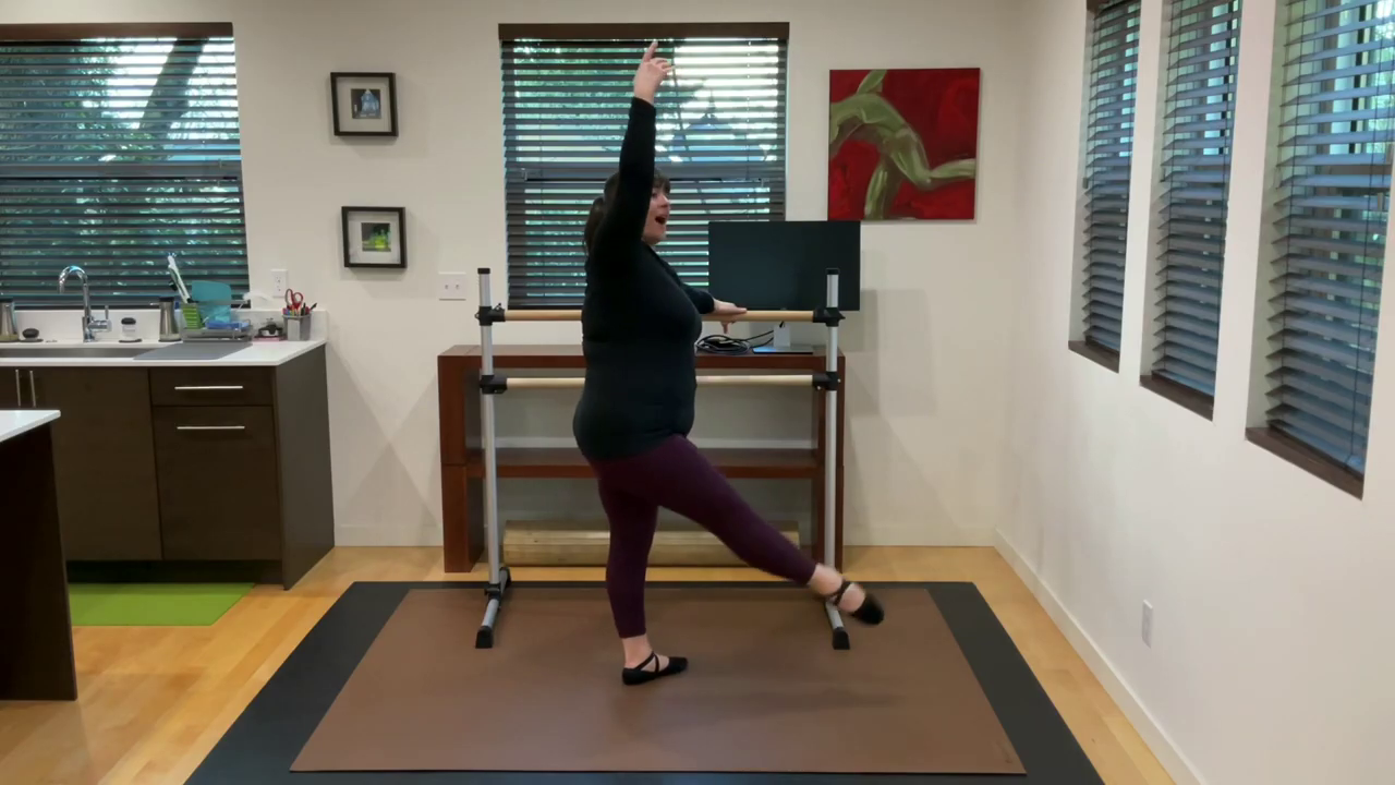 L 1.1 Ballet Barre Degagé 3