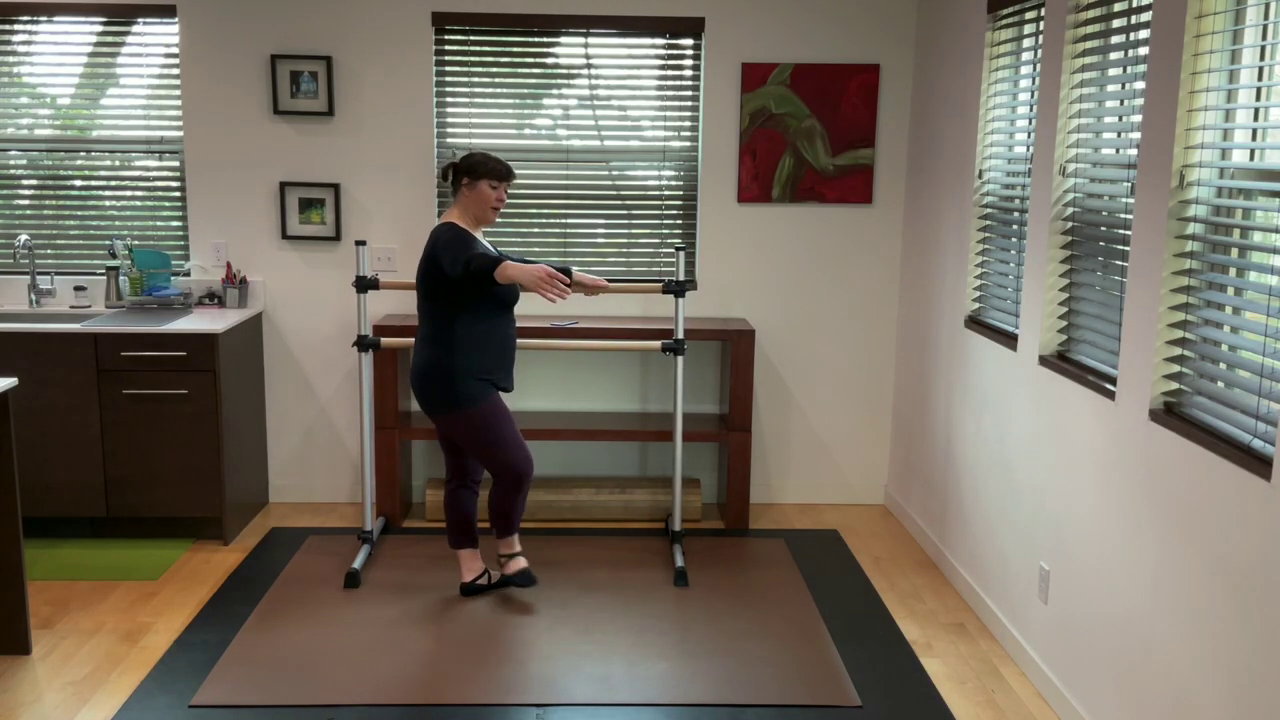 L 1.1 Ballet Barre Frappé