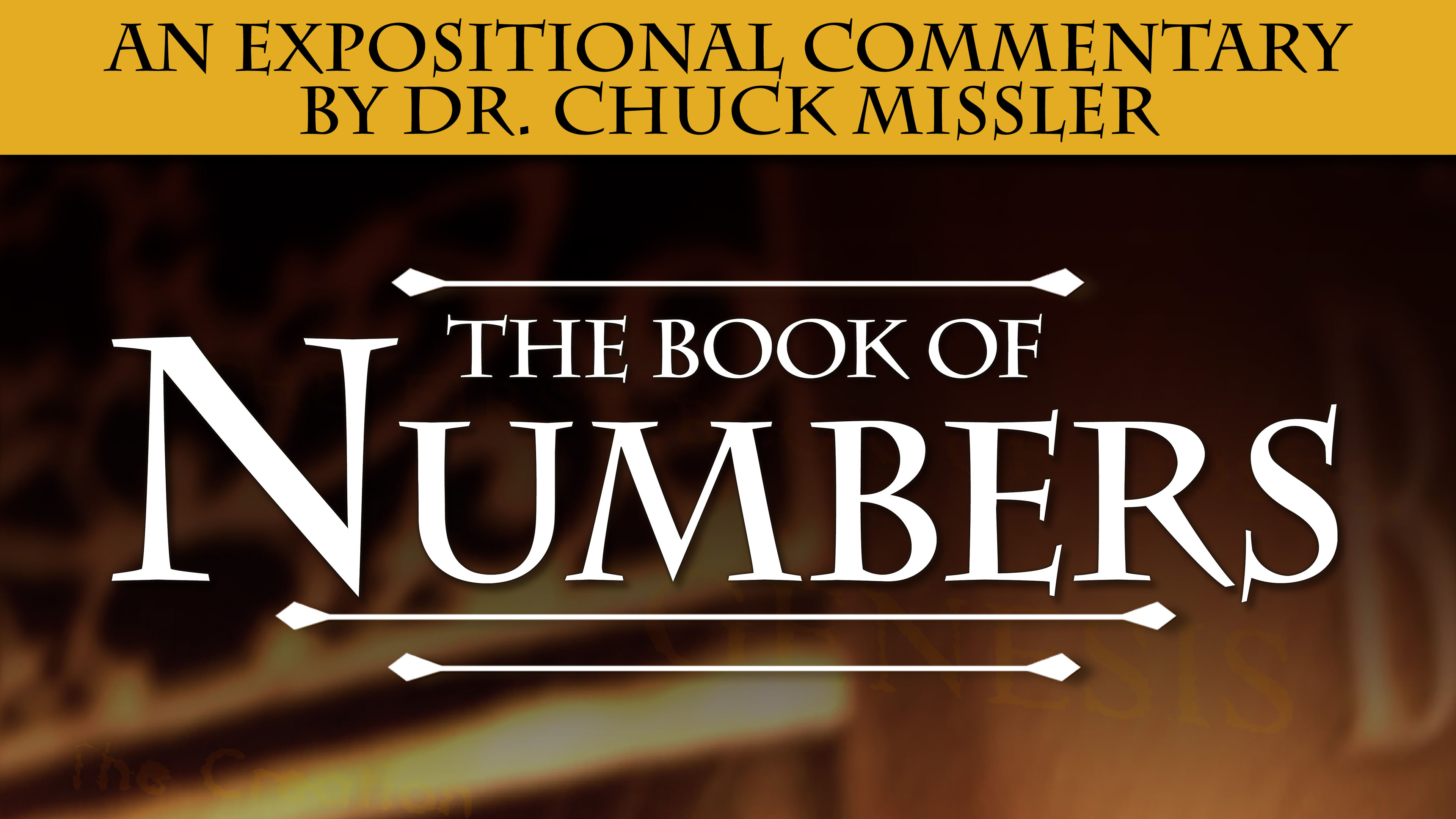 Numbers: An Expositional Commentary